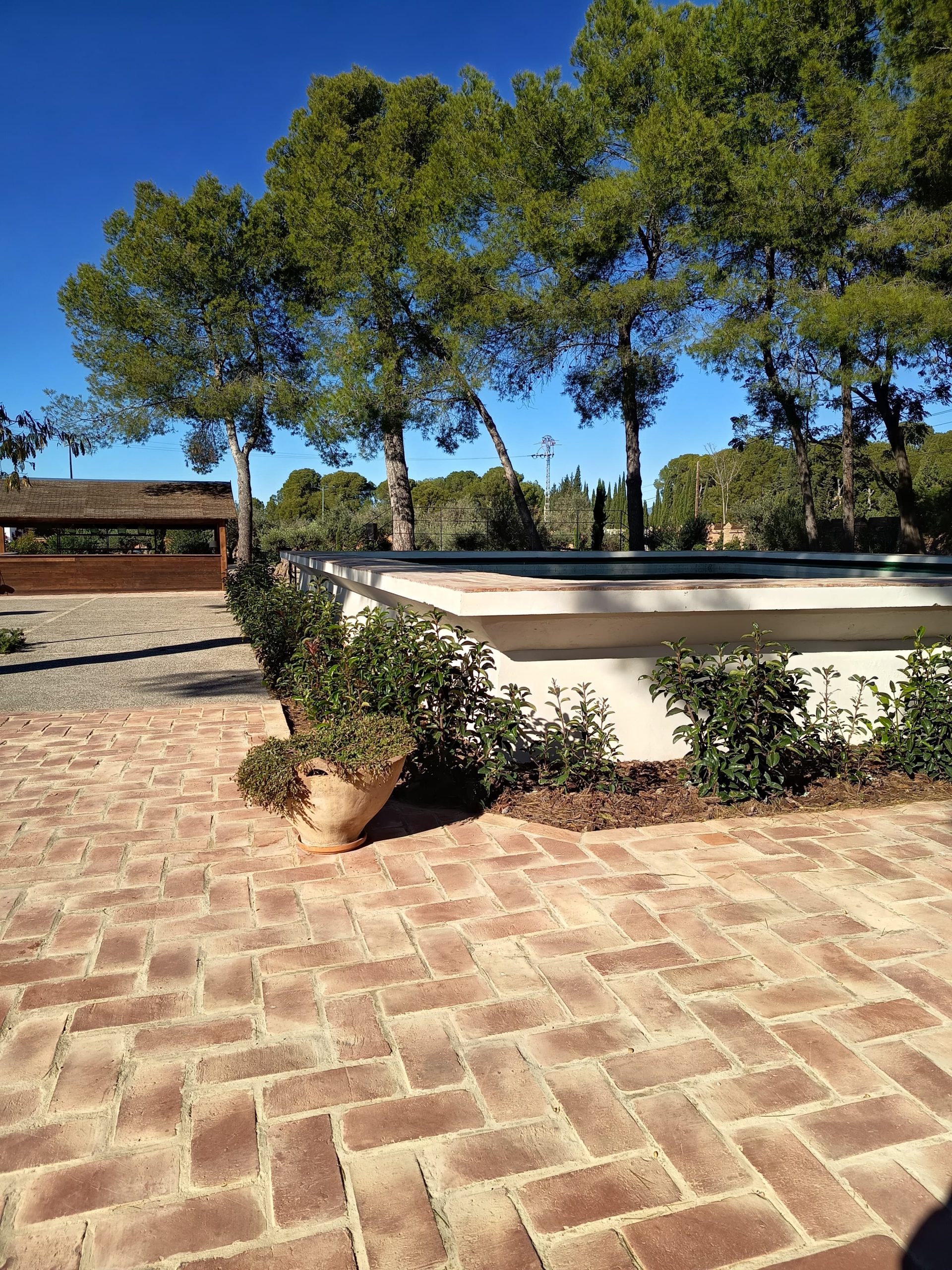 WhatsApp Image 2025-11-30 at 11.43.27