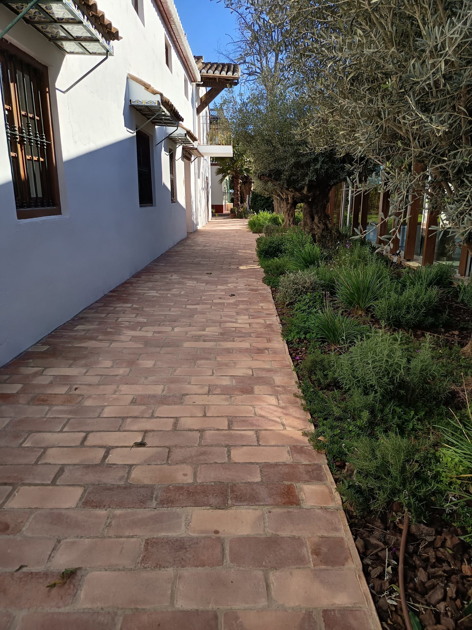 WhatsApp Image 2025-11-30 at 11.43.28