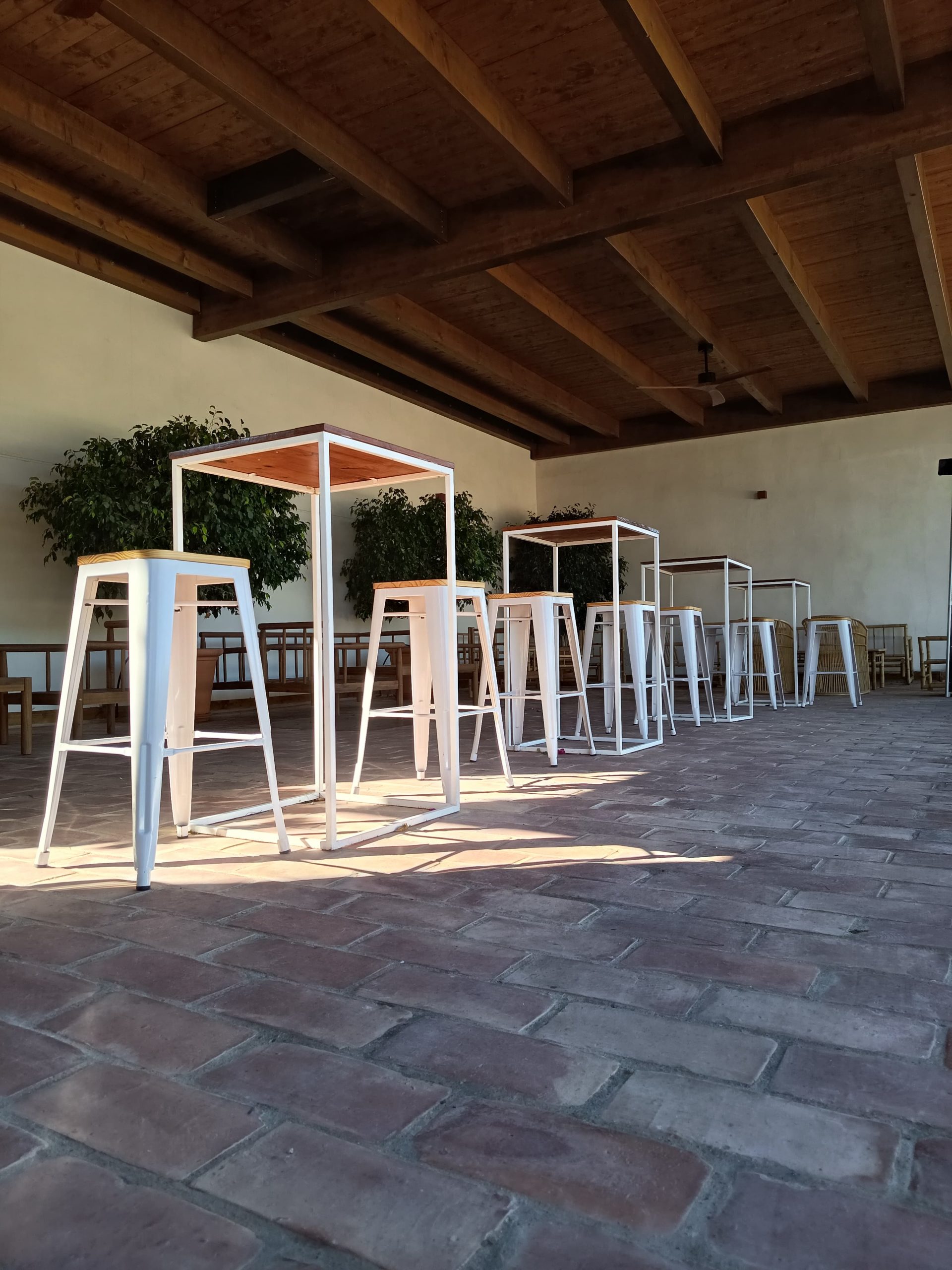 WhatsApp Image 2025-11-30 at 11.43.29